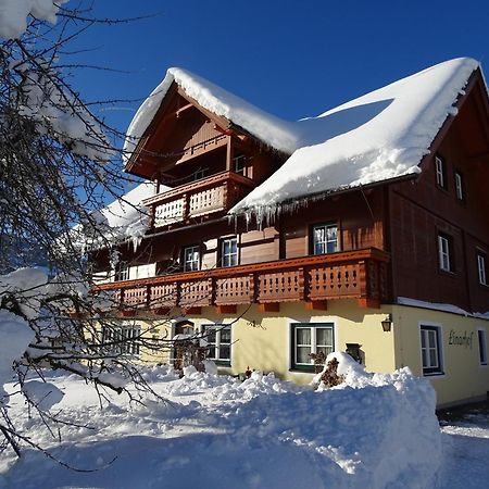 Linarhof Apartment Urlaub Am Bio Bauernhof Haus im Ennstal Exterior foto