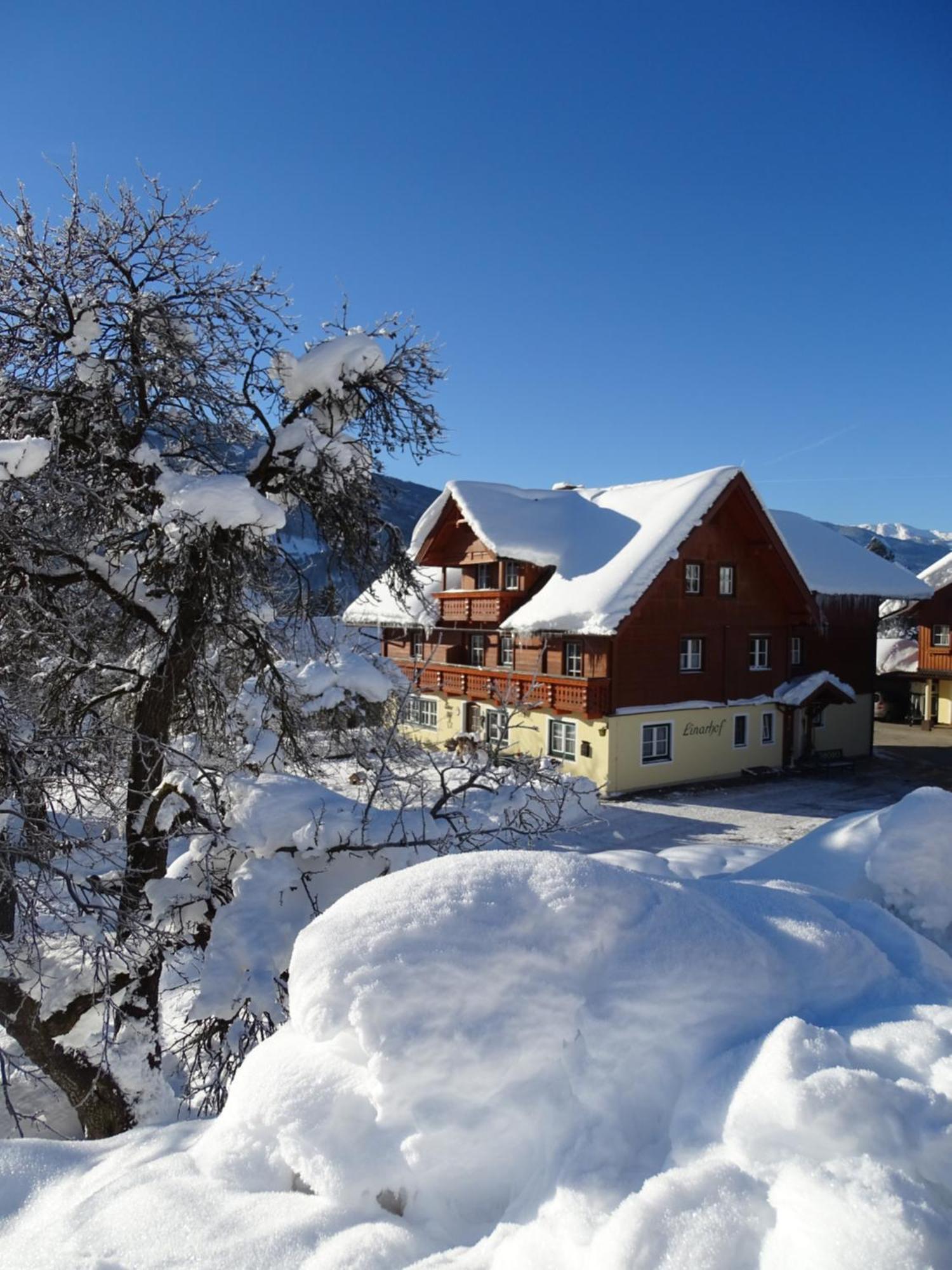 Linarhof Apartment Urlaub Am Bio Bauernhof Haus im Ennstal Exterior foto